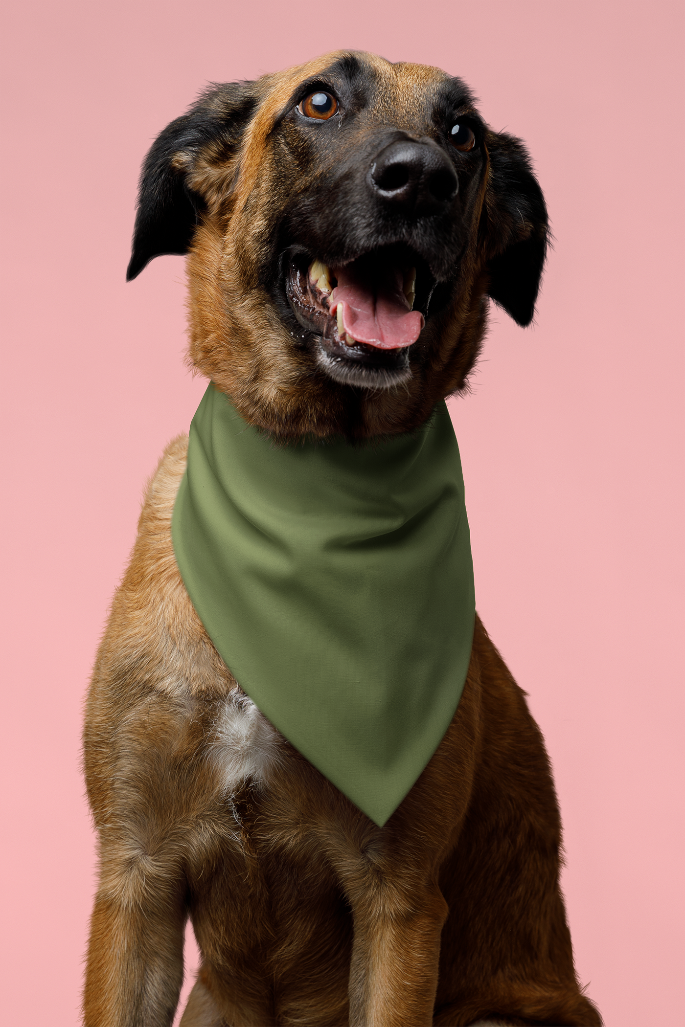 Olive Green Pet Bandana